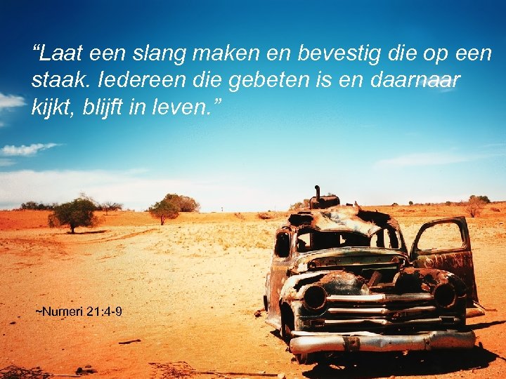 “Laat een slang maken en bevestig die op een staak. Iedereen die gebeten is