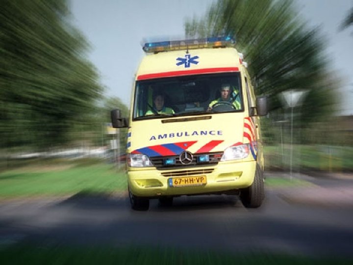 Hij liet een koperen slang maken en bevestigde die op een staak. En iedereen