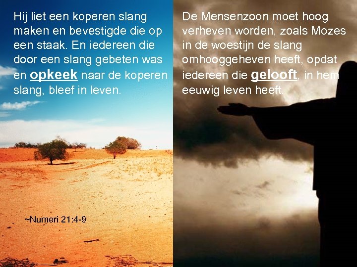 Hij liet een koperen slang maken en bevestigde die op een staak. En iedereen