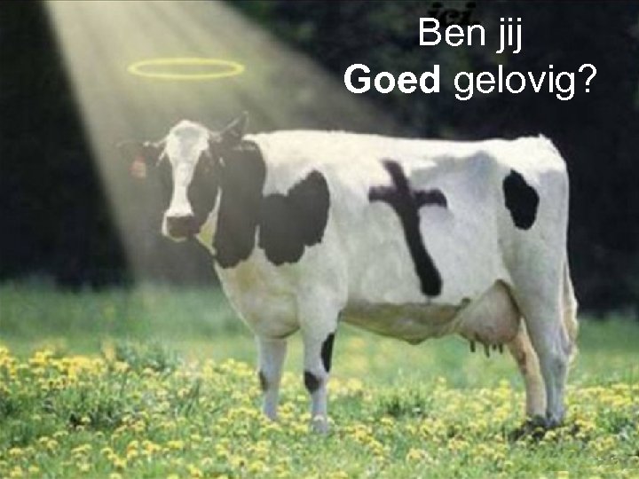 Ben jij Goed gelovig? 
