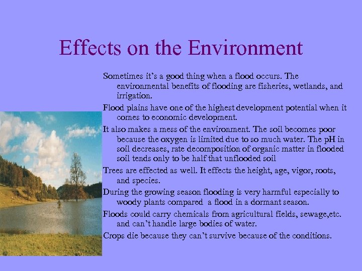 Effects on the Environment Sometimes it’s a good thing when a flood occurs. The