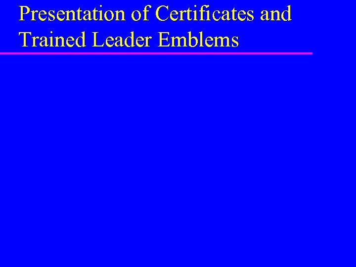 Presentation of Certificates and Trained Leader Emblems 