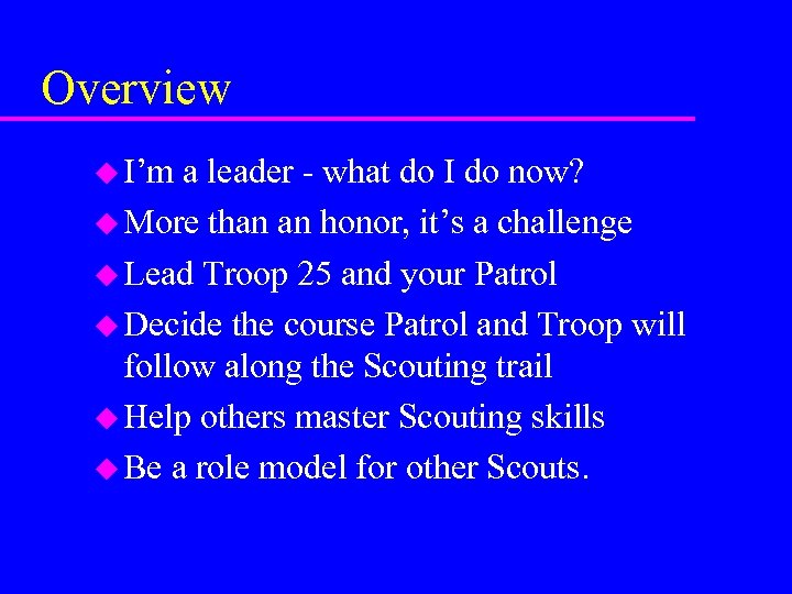 Overview u I’m a leader - what do I do now? u More than