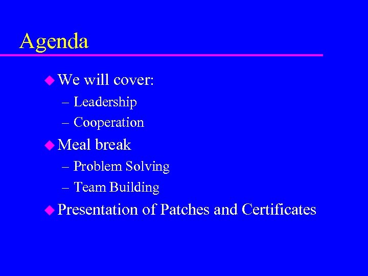 Agenda u We will cover: – Leadership – Cooperation u Meal break – Problem