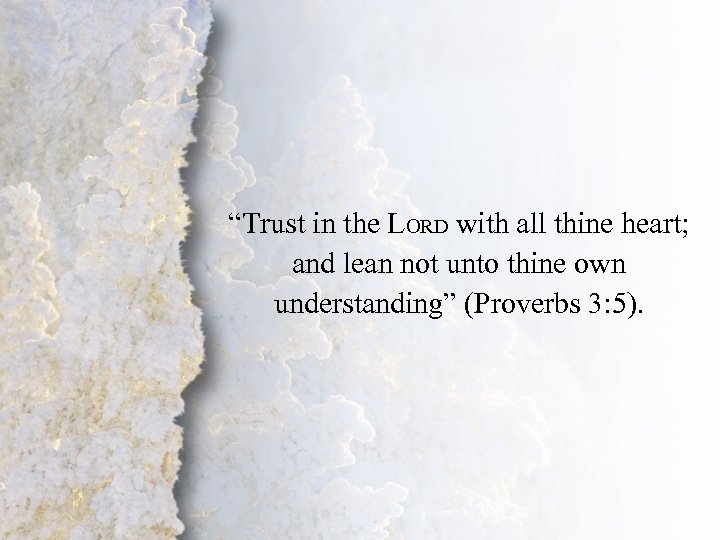 Proverbs 3: 5 “Trust in the LORD with all thine heart; and lean not