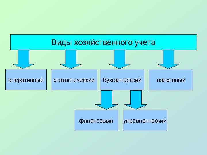 Виды хозяйственного учета оперативный статистический бухгалтерский финансовый налоговый управленческий 