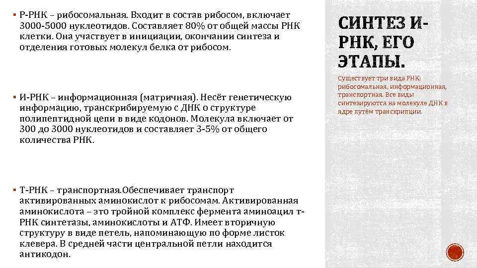 § Р‑РНК – рибосомальная. Входит в состав рибосом, включает 3000‑ 5000 нуклеотидов. Составляет 80%