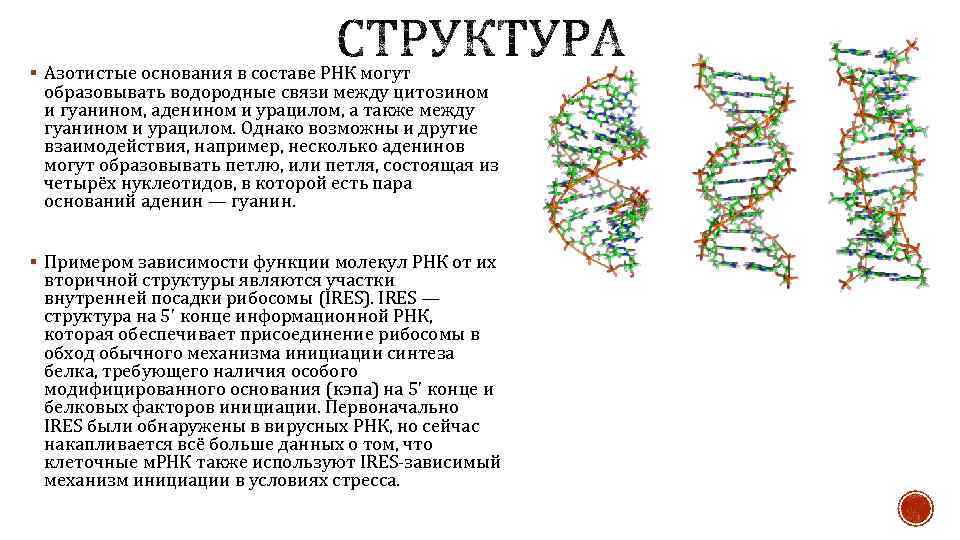 Водородный связи между аденином и тимином. Водородные связи между гуанином и цитозином. Вторичная структура РНК. Водородные связи в ДНК. Структура азотистых оснований.