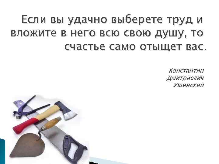 Если вы удачно выберете труд и вложите в него всю свою душу, то счастье