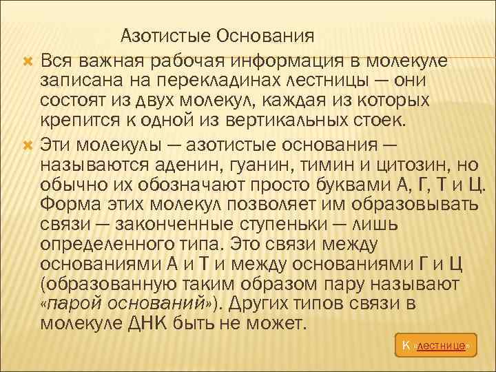 Азотистые Основания Вся важная рабочая информация в молекуле записана на перекладинах лестницы — они