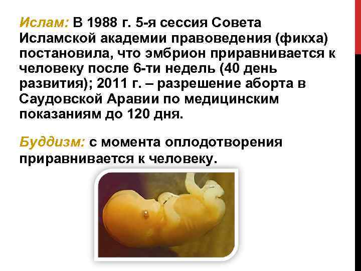 Ислам: В 1988 г. 5 -я сессия Совета Исламской академии правоведения (фикха) постановила, что