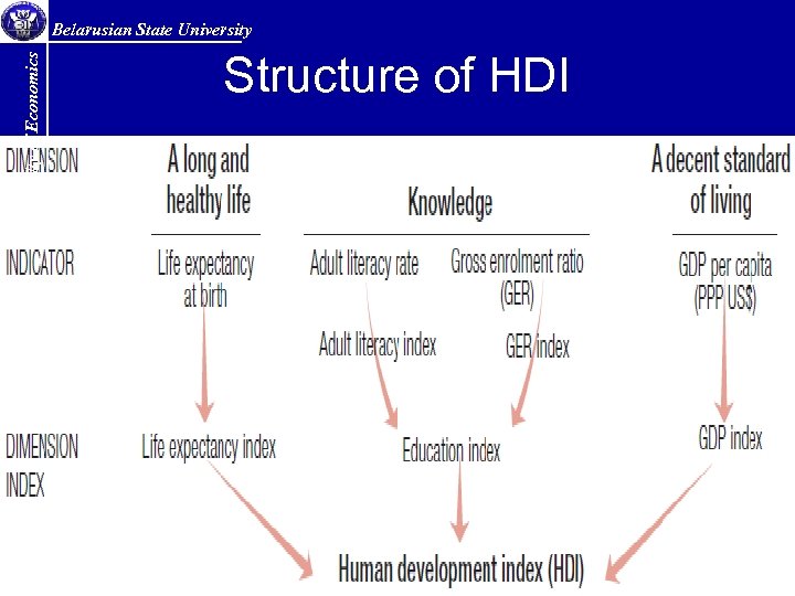 Faculty of Economics Belarusian State University Structure of HDI 