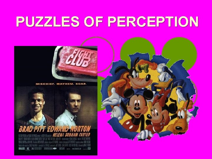 PUZZLES OF PERCEPTION 