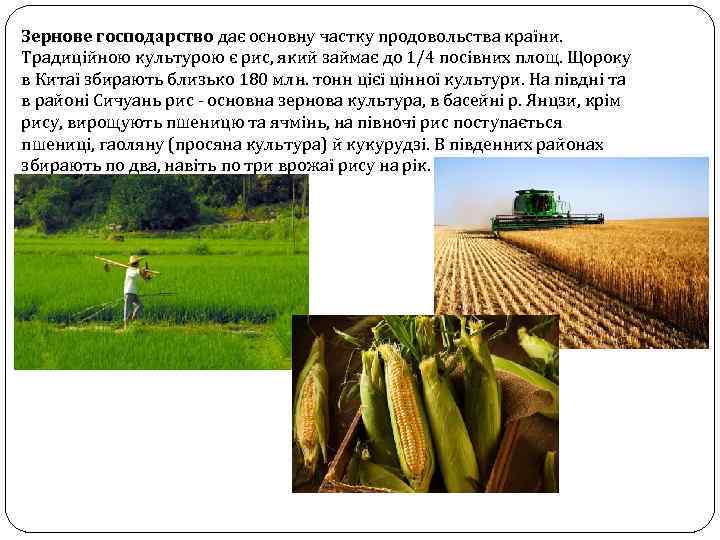 Зернове господарство дає основну частку продовольства країни. Традиційною культурою є рис, який займає до