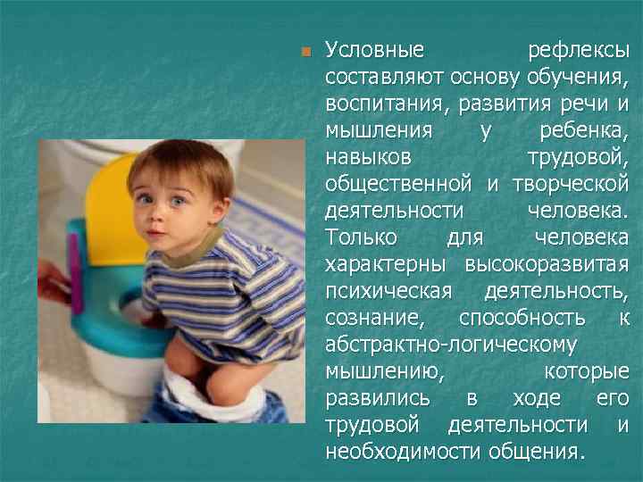 n Условные рефлексы составляют основу обучения, воспитания, развития речи и мышления у ребенка, навыков