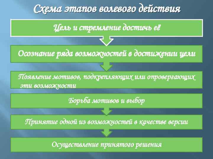 Заполните схему сложного волевого действия 5 этапов