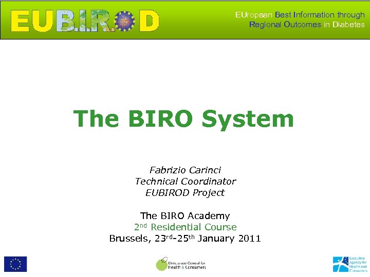 EUropean Best Information through Regional Outcomes in Diabetes The BIRO System Fabrizio Carinci Technical
