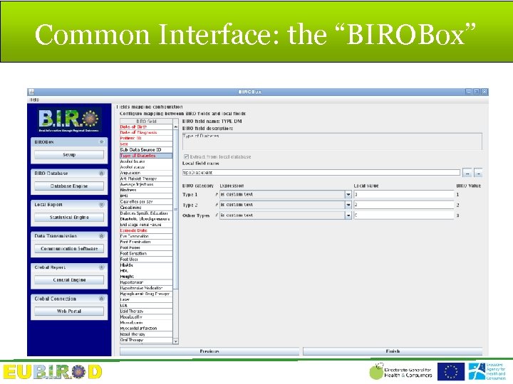 Common Interface: the “BIROBox” 