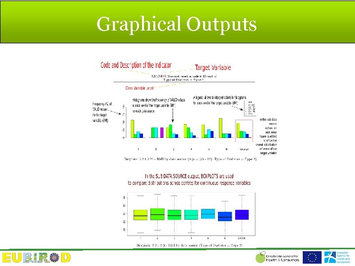 Graphical Outputs 