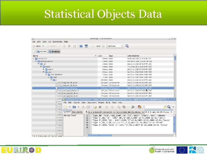 Statistical Objects Data 