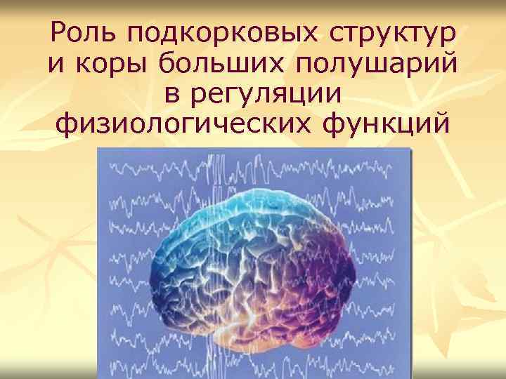 Роль подкорковых структур и коры больших полушарий в регуляции физиологических функций 