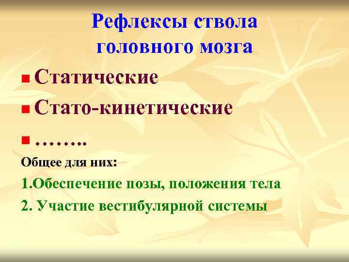 Рефлексы ствола головного мозга n Статические n Стато-кинетические n ……. . Общее для них: