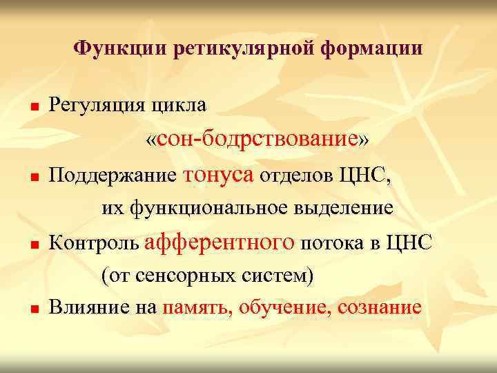 Функции ретикулярной формации n Регуляция цикла «сон-бодрствование» n n n Поддержание тонуса отделов ЦНС,