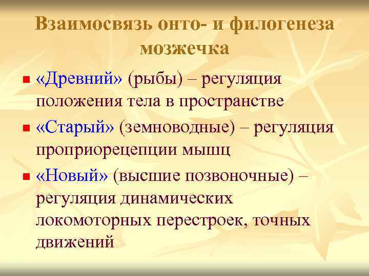 Взаимосвязь онто- и филогенеза мозжечка «Древний» (рыбы) – регуляция положения тела в пространстве n