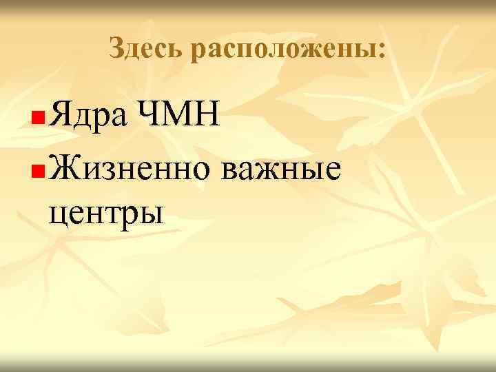 Здесь расположены: Ядра ЧМН n Жизненно важные центры n 