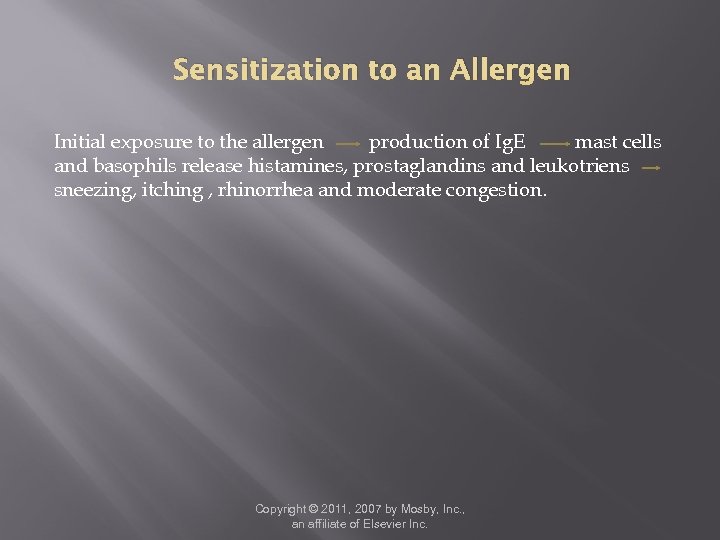 Sensitization to an Allergen Initial exposure to the allergen production of Ig. E mast