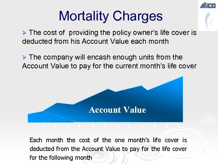 Mortality Charges Ø The cost of providing the policy owner’s life cover is deducted
