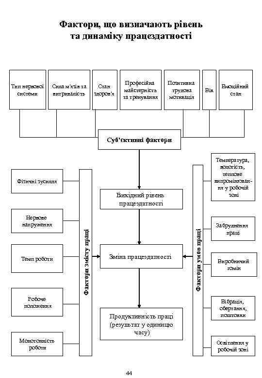 Фактори, що визначають рівень та динаміку працездатності Тип нервової системи Сила м'язів та витривалість