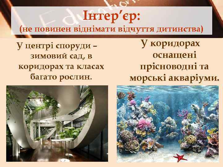 Інтер’єр: (не повинен віднімати відчуття дитинства) У центрі споруди – зимовий сад, в коридорах