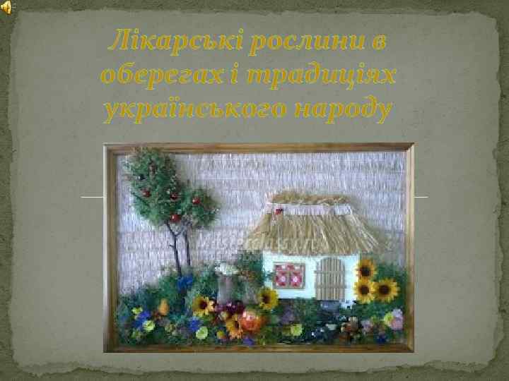 Лікарські рослини в оберегах і традиціях українського народу 
