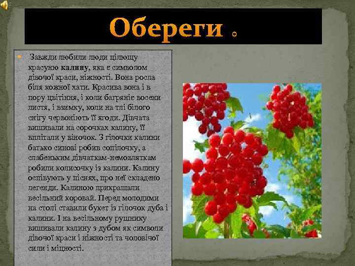 Обереги : Завжди любили люди цілющу красуню калину, яка є символом дівочої краси, ніжності.