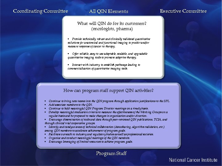 Coordinating Committee All QIN Elements Executive Committee What will QIN do for its customers?