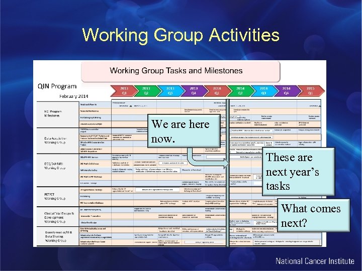 Working Group Activities We are here now. These are next year’s tasks What comes