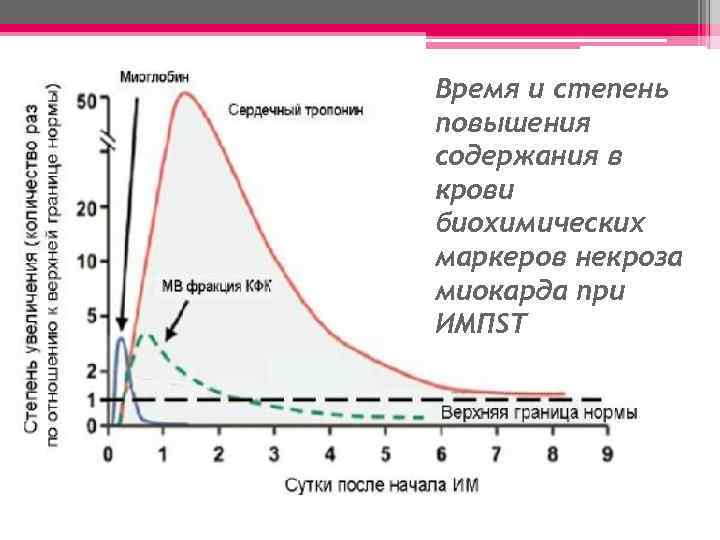 Время и степень повышения содержания в крови биохимических маркеров некроза миокарда при ИМПST 