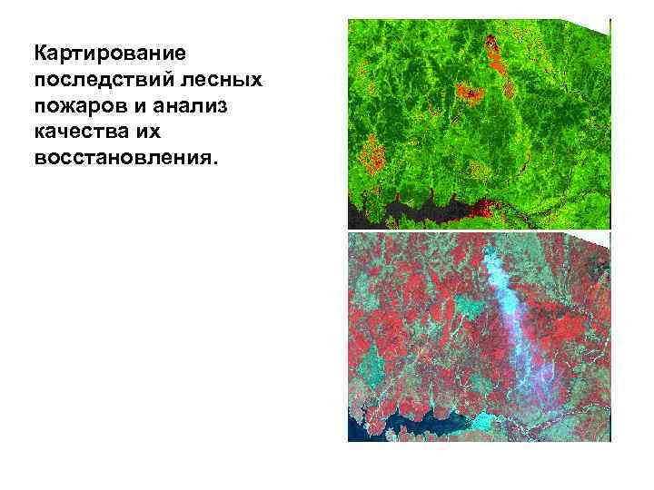 Картирование последствий лесных пожаров и анализ качества их восстановления. 