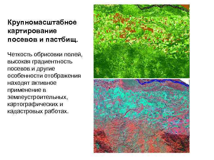 Крупномасштабное картирование посевов и пастбищ. Четкость обрисовки полей, высокая градиентность посевов и другие особенности
