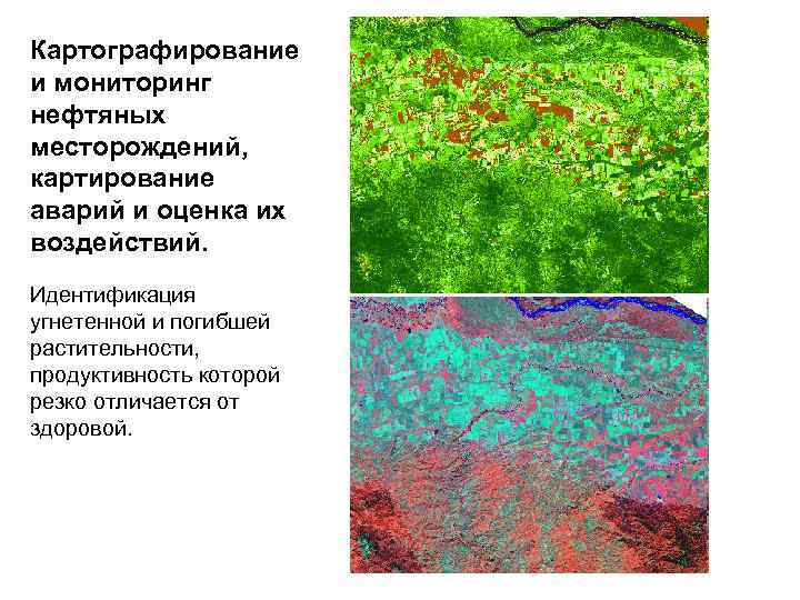 Картографирование и мониторинг нефтяных месторождений, картирование аварий и оценка их воздействий. Идентификация угнетенной и