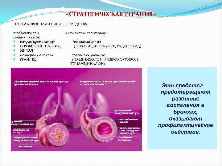  «СТРАТЕГИЧЕСКАЯ ТЕРАПИЯ» ПРОТИВОВОСПАЛИТЕЛЬНЫЕ СРЕДСТВА стабилизаторы тучных клеток натрия кромогликат (КРОМОЛИН НАТРИЯ, ИНТАЛ) недокромил