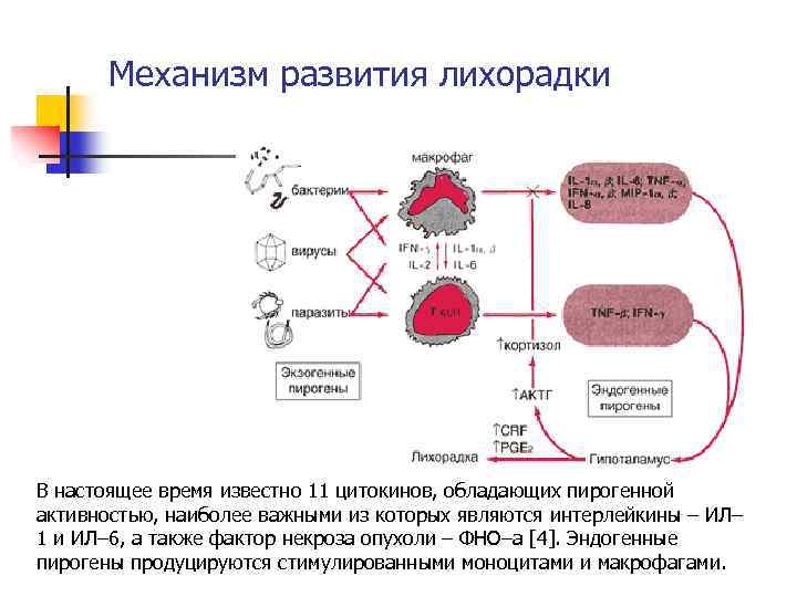 Иридоциклит схема лечения