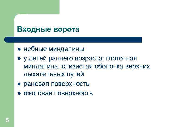 Входные ворота l l 5 небные миндалины у детей раннего возраста: глоточная миндалина, слизистая