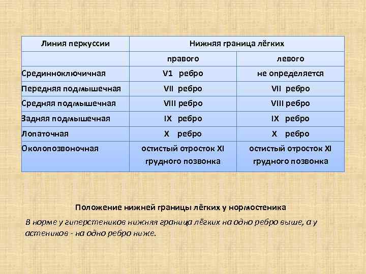 Границы легких в норме при перкуссии