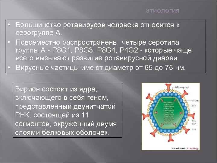 этиология • Большинство ротавирусов человека относится к серогруппе А. • Повсеместно распространены четыре серотипа