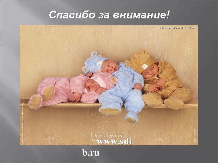 Спасибо за внимание! www. sdi b. ru 