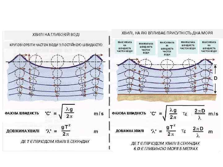 ХВИЛІ НА ГЛИБОКІЙ ВОДІ КРУГОВІ ОРБІТИ ЧАСТОК ВОДИ З ПОСТІЙНОЮ ШВИДКІСТЮ ФАЗОВА ШВИДКІСТЬ ДОВЖИНА