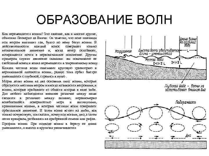 ОБРАЗОВАНИЕ ВОЛН Как перемещаются волны? Это явление, как и многие другие, объяснил Леонардо да