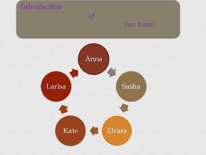 Introduction of our team Anna Larisa Kate Sasha Elzara 